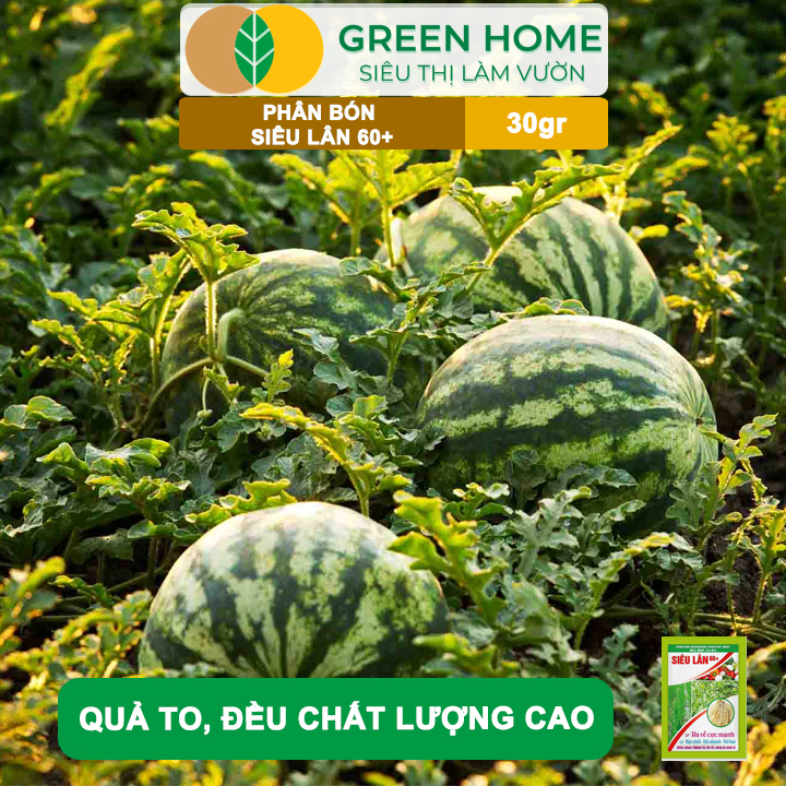 vn-11134208-7ras8-mb1yrivydxw84f