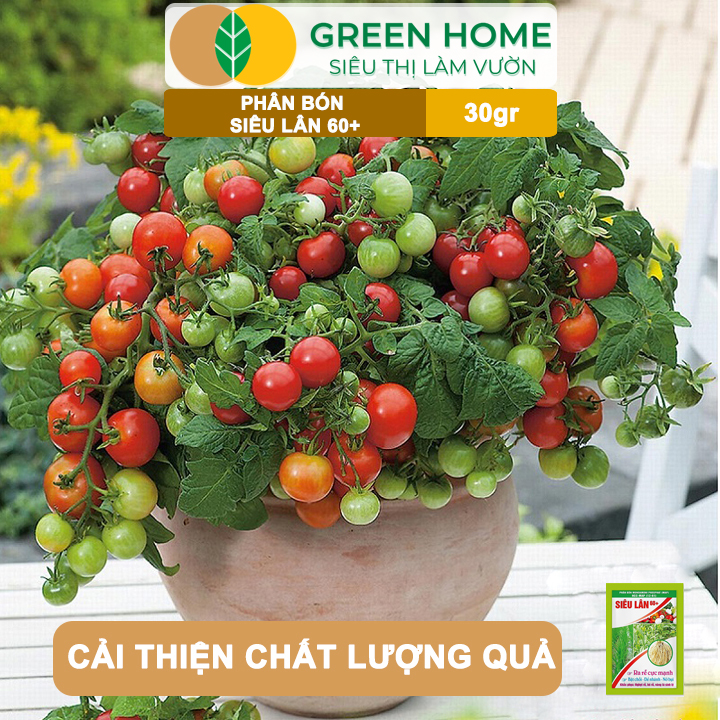 vn-11134208-7ras8-mb1yrlv1zsuv40