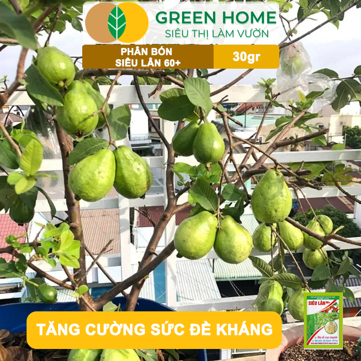 vn-11134208-7ras8-mb1yrp0jdql4ca