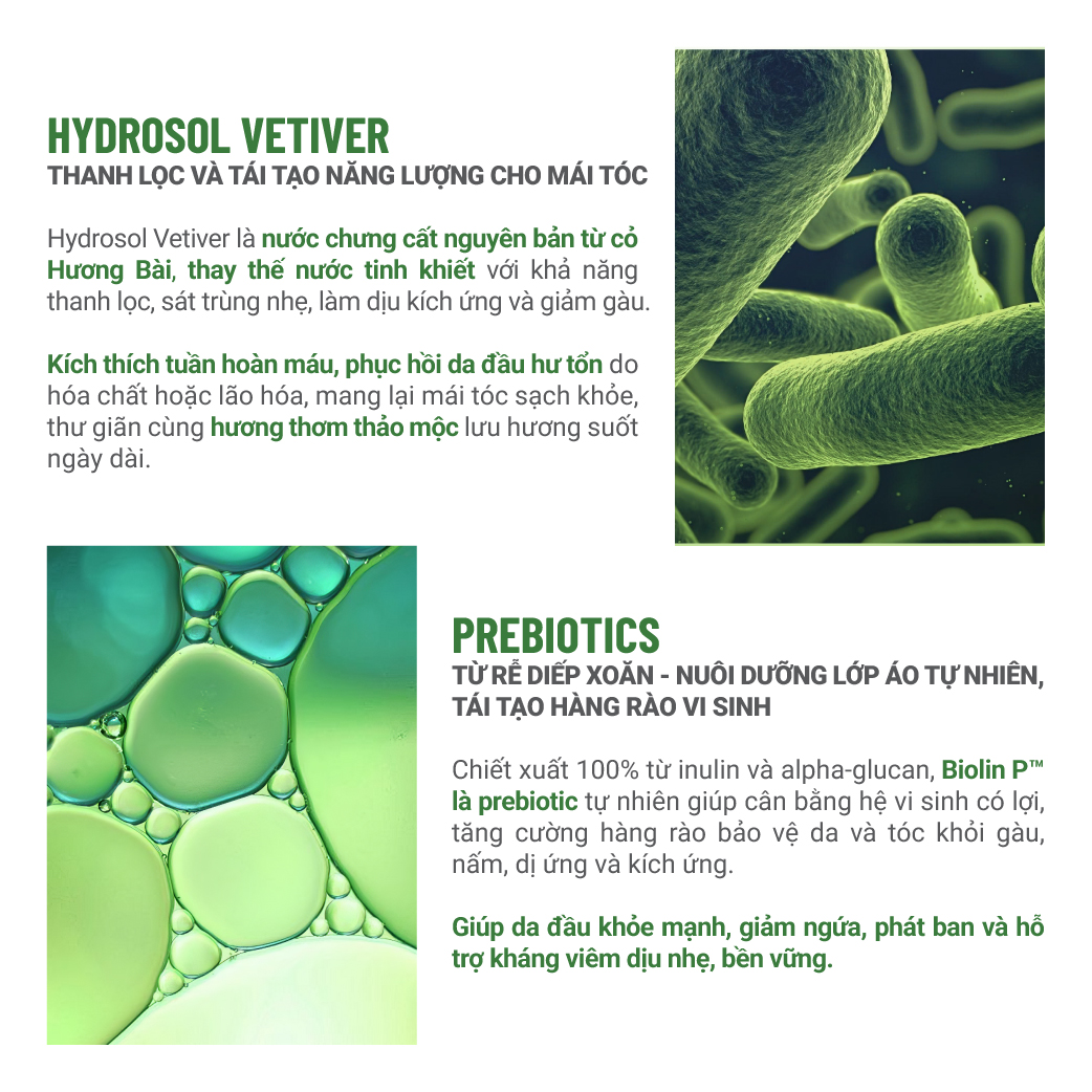 vn-11134208-7ras8-mbqcphva26ay6b