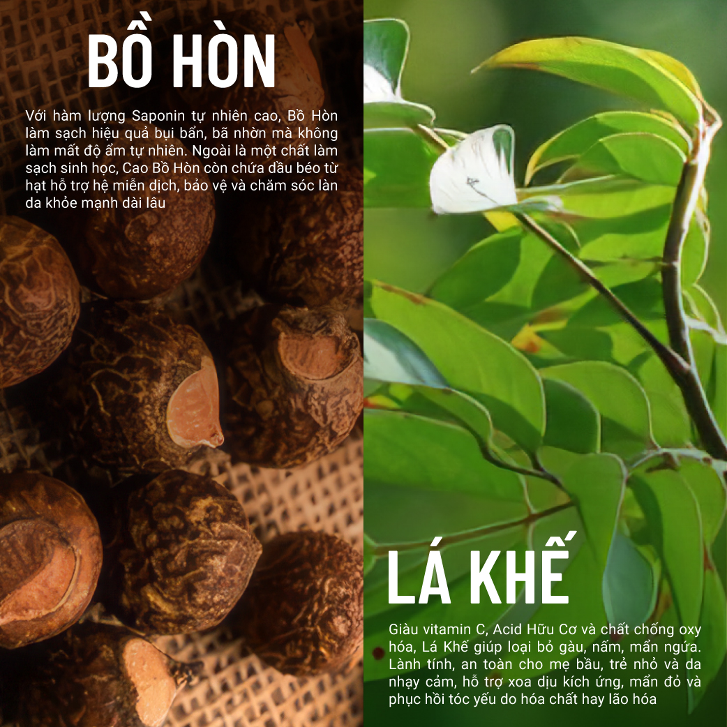 vn-11134208-7ras8-mbqjgthp9aq6f9