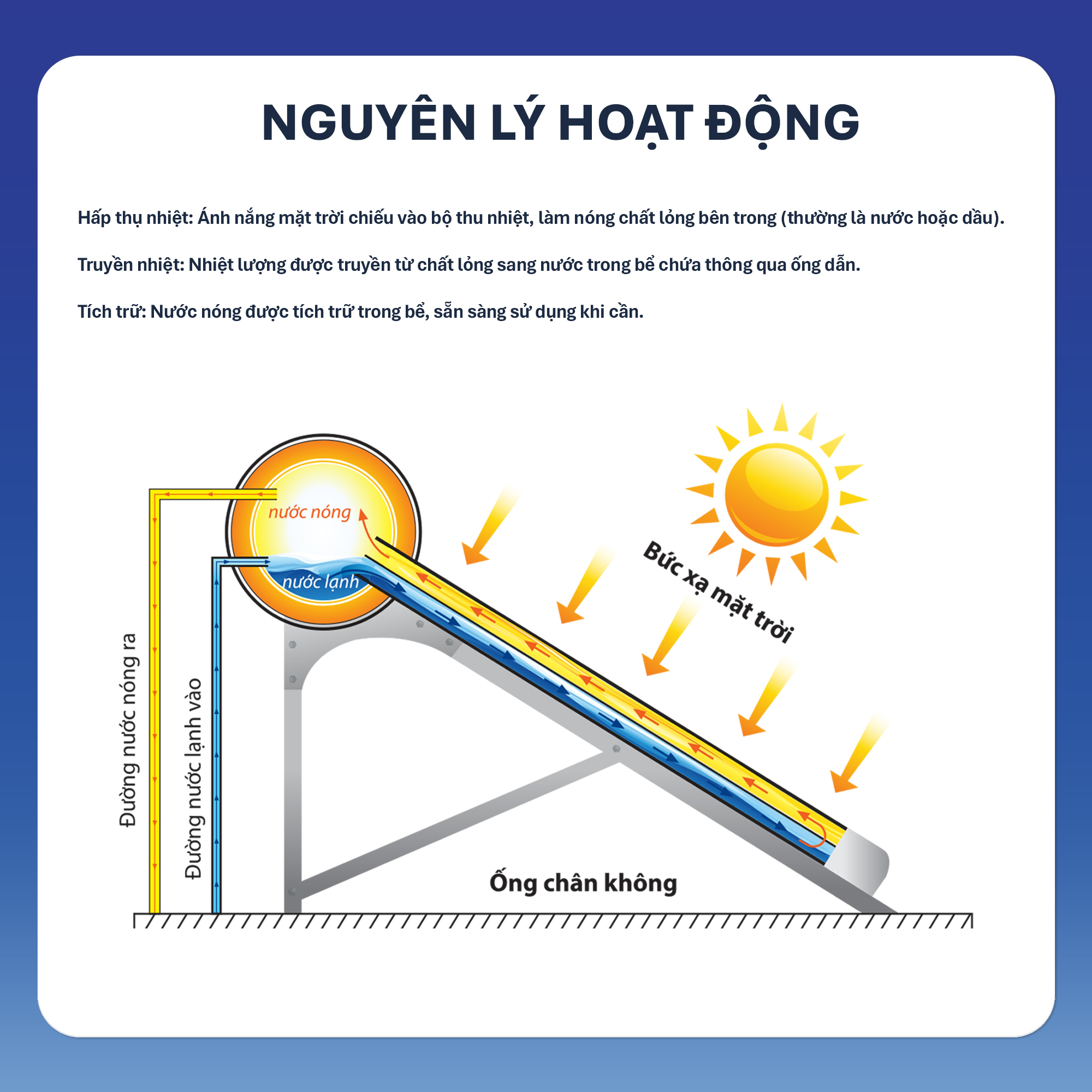 vn-11134208-7ras8-mciyzvmrva5ebf
