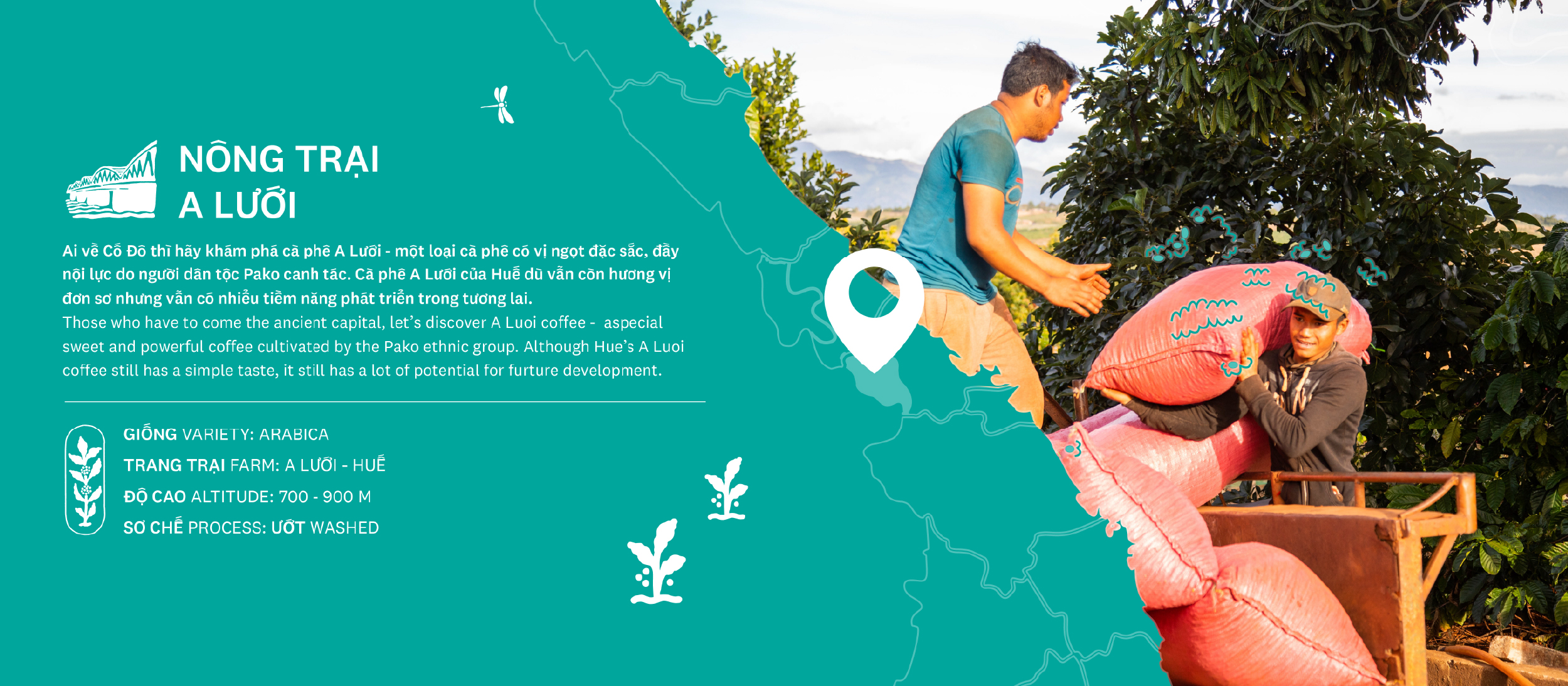 vn-11134208-7ras8-mcq12nch9e3x6c