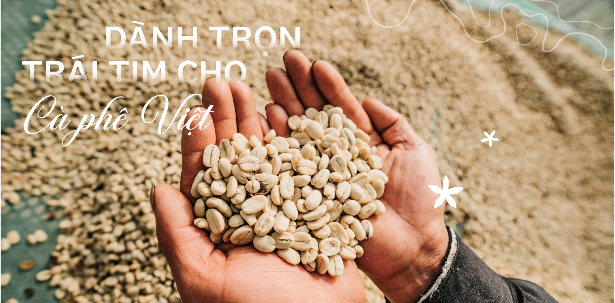 vn-11134208-7ras8-mcq3al3m0ntobe