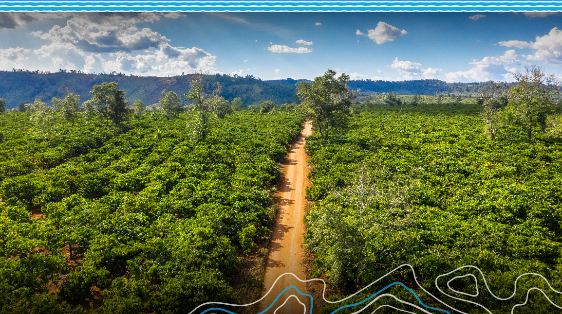 vn-11134208-7ras8-mcq4iz8faw8d19