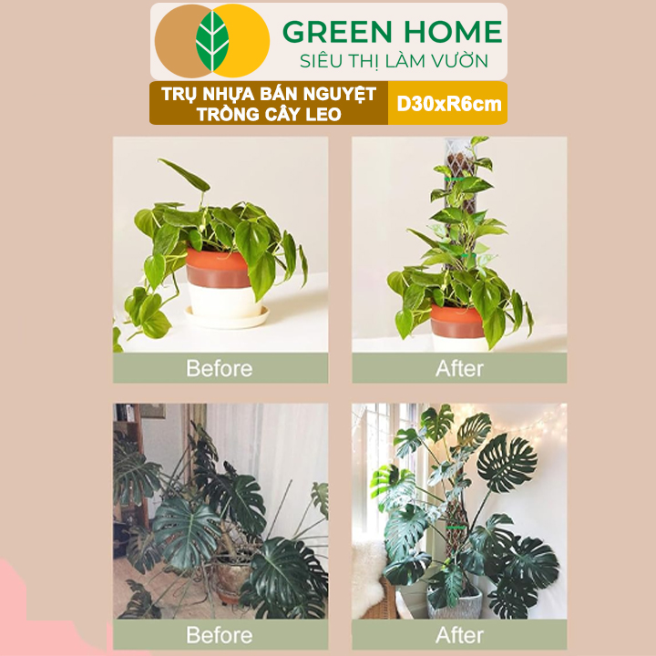 vn-11134208-7ras8-mcrlcolq3sykb5