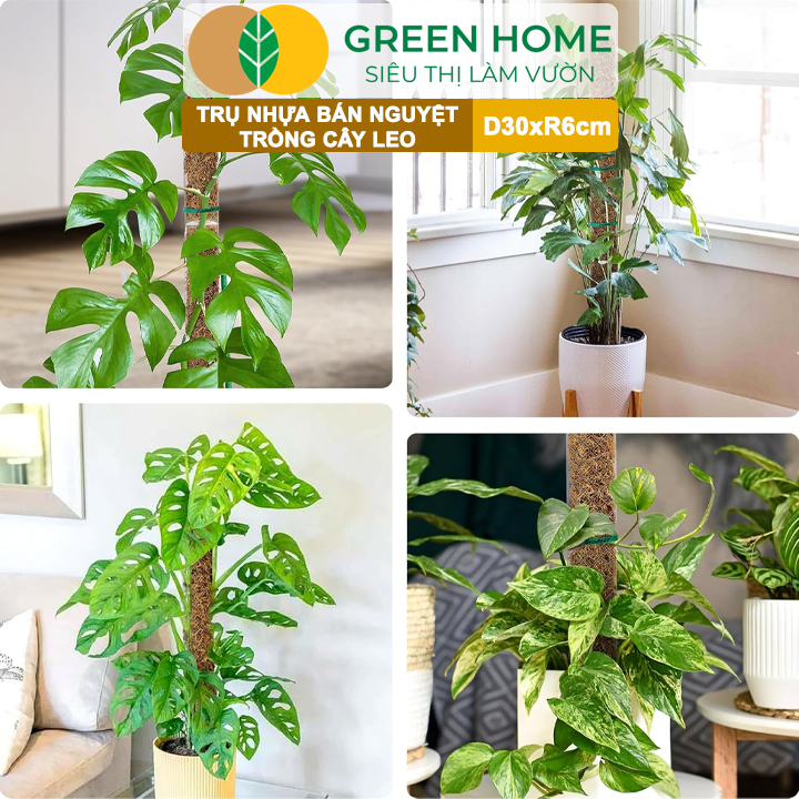 vn-11134208-7ras8-mcrlcz5kmjbwbd