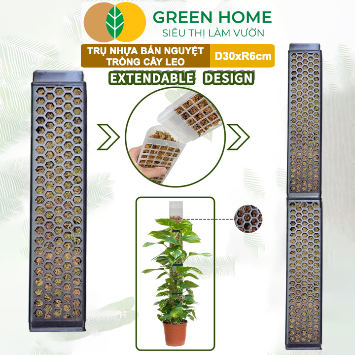 vn-11134208-7ras8-mdjrq7haxlfpb0