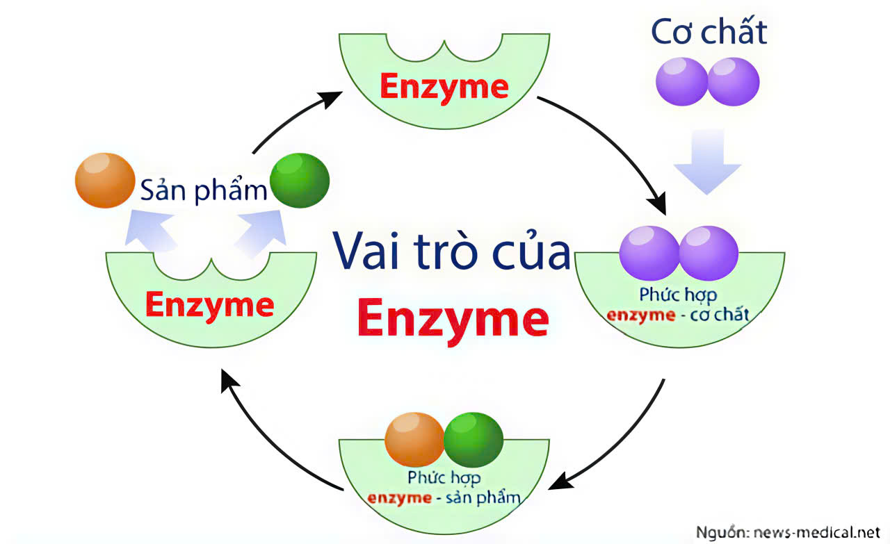 vn 11134208 7ras8 mdr6iuyi95wvbe
