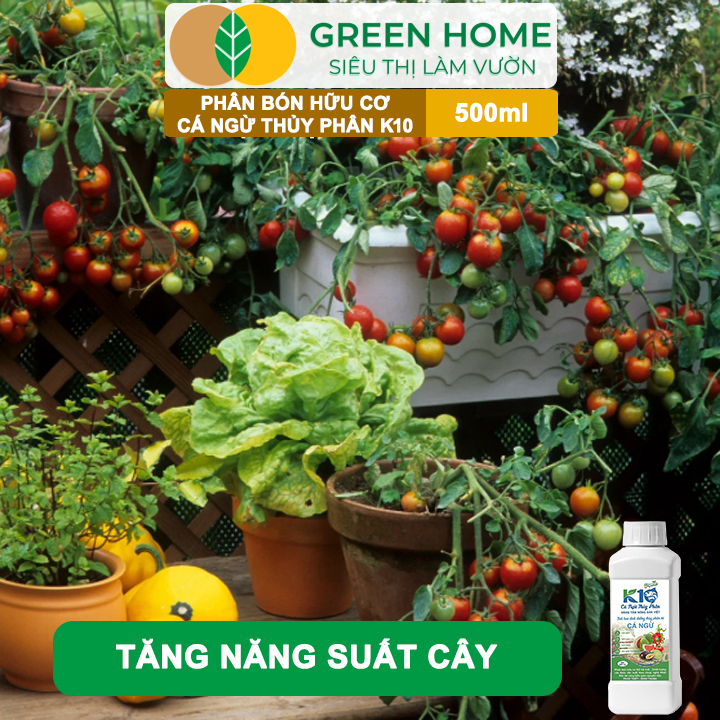 vn-11134208-81ztc-mk3mnjxn92itca