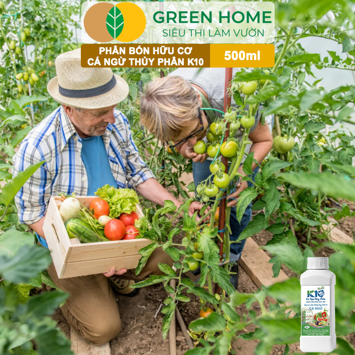 vn-11134208-81ztc-mk3mnqmronib84