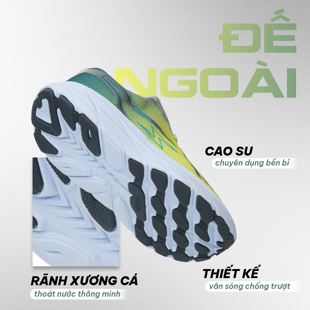 vn-11134208-81ztc-mp21p3lc6eq6bc