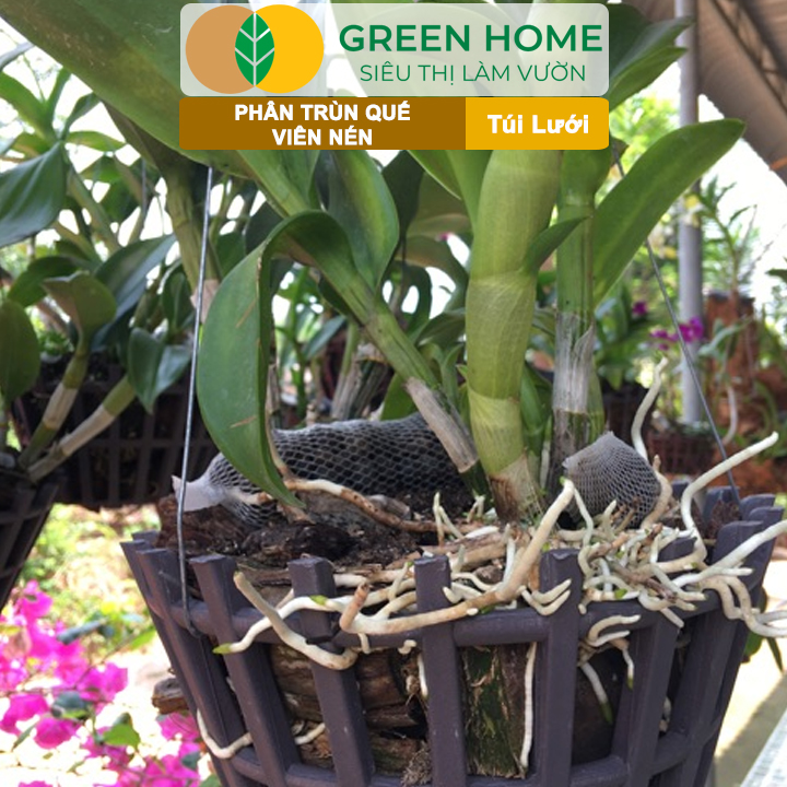 vn-11134208-820l4-meuzsc6b3htya6