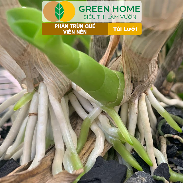 vn-11134208-820l4-meuzsqagxkw6e6