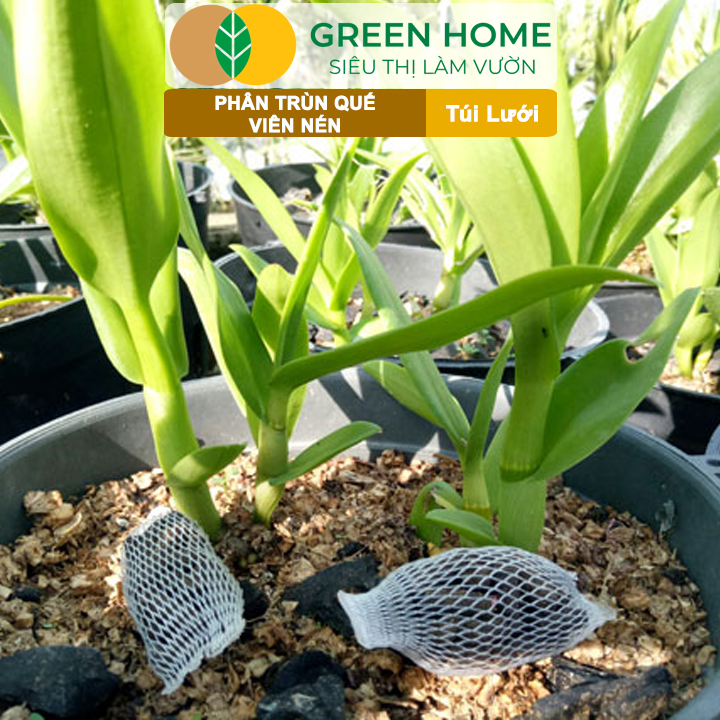 vn-11134208-820l4-meuzsxpdyrcy64