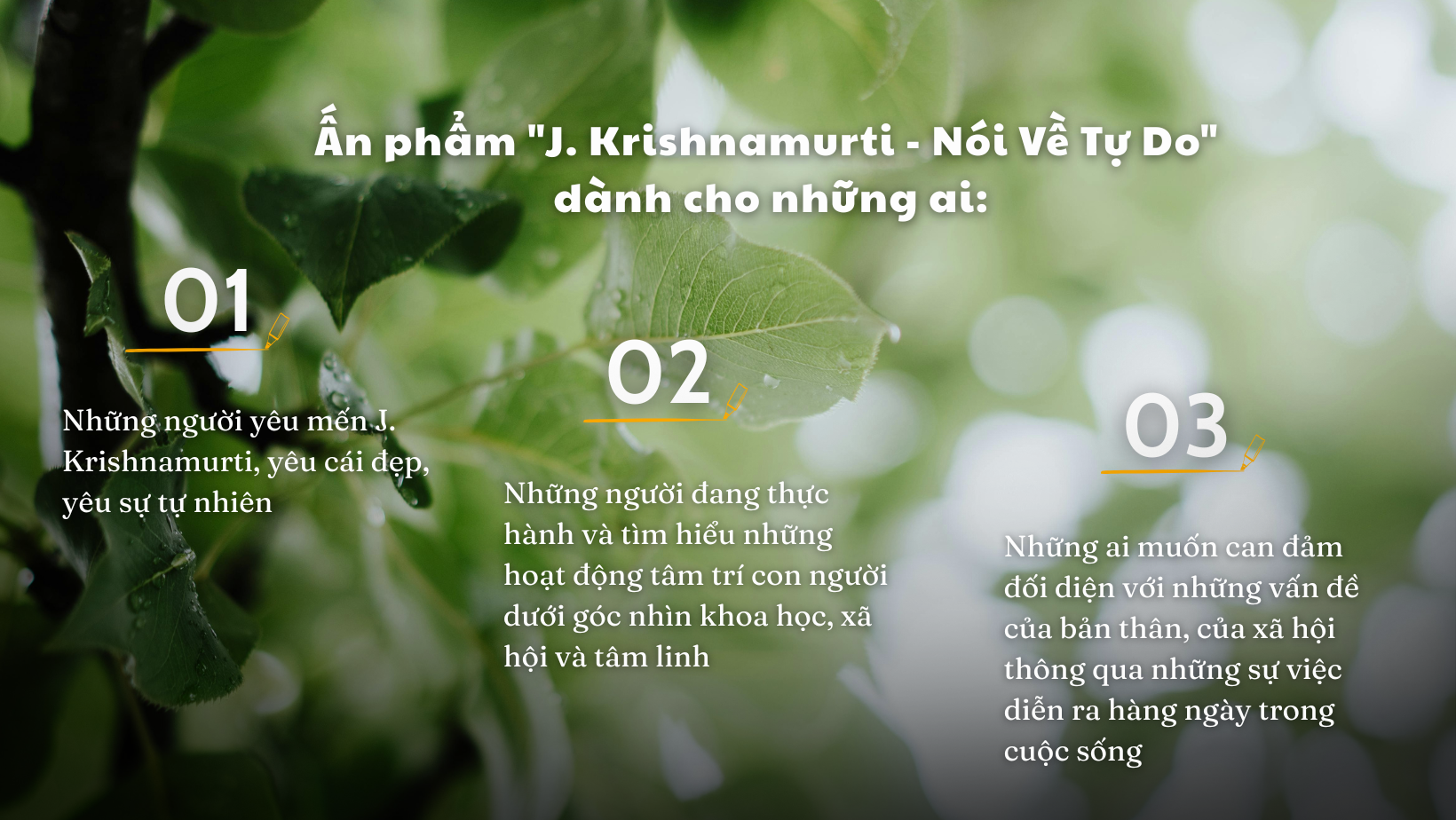 vn-11134208-820l4-mgfw2rh7x1c859
