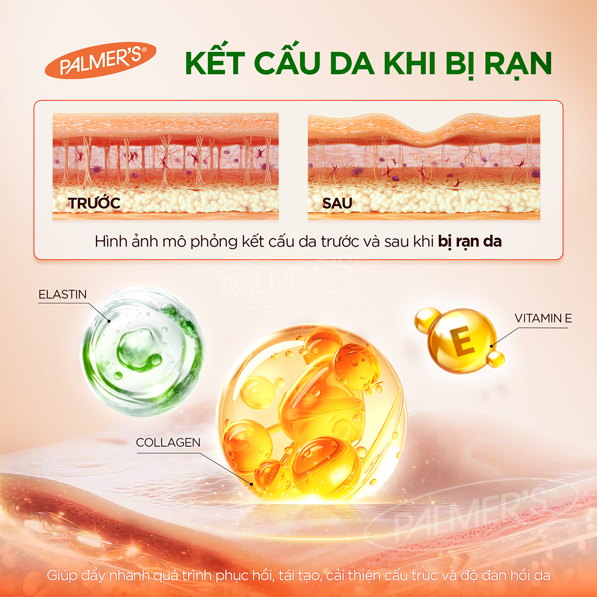 vn-11134208-820l4-mh9w227wawp932