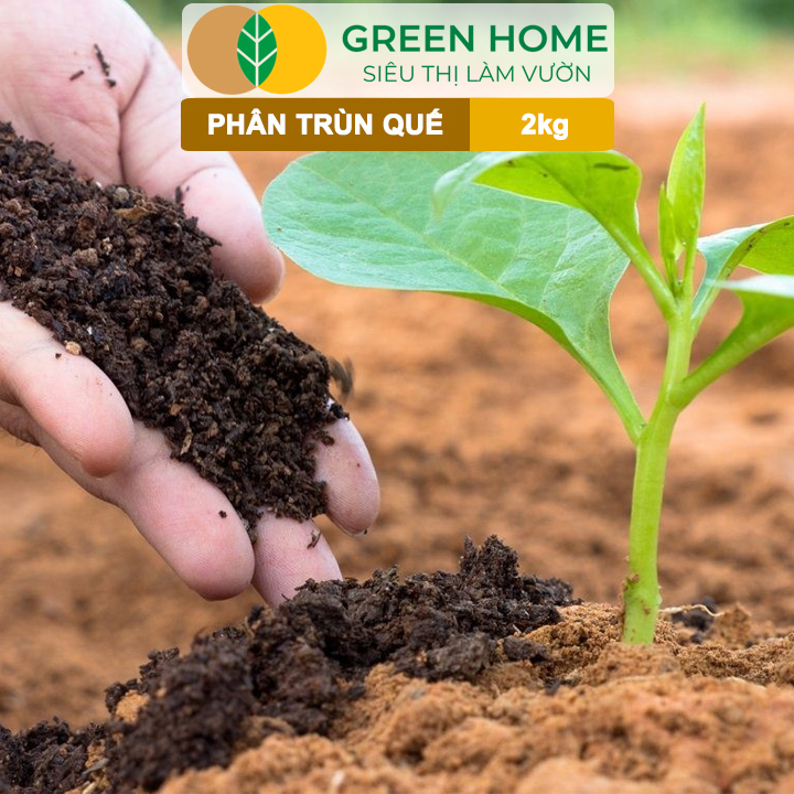 vn-11134208-820l4-mhkd2w798xds74