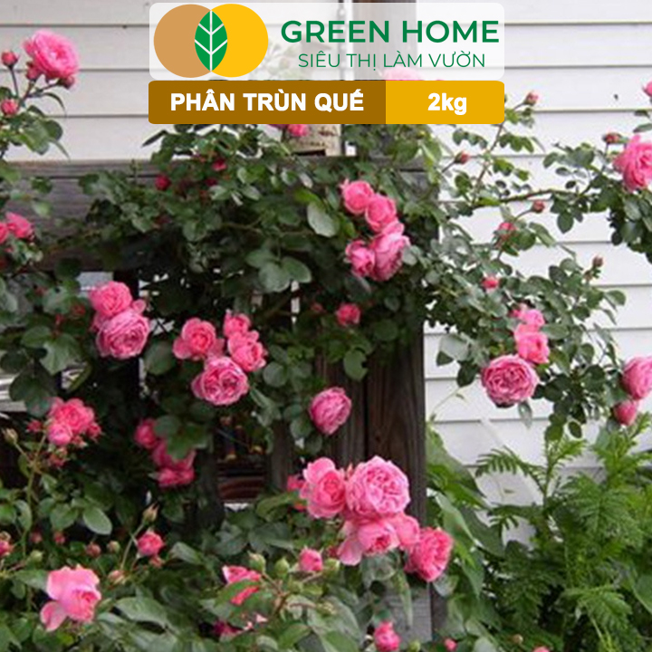 vn-11134208-820l4-mhkd3ercj08w7c