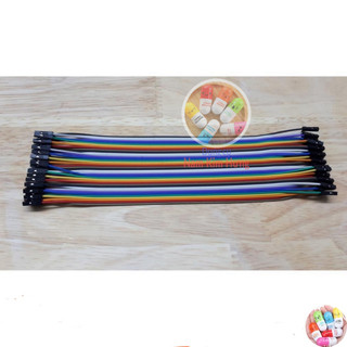 40 Dây Test Board Đực - Cái 20cm (có bán lẻ)