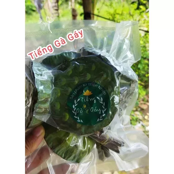Gương sen tươi 100 % Đồng Tháp-1kg ( Hút chân không)