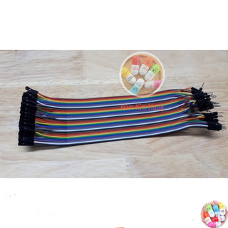 40 Dây Test Board Đực - Cái 20cm (có bán lẻ)