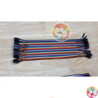40 Dây Test Board Đực - Cái 20cm (có bán lẻ)