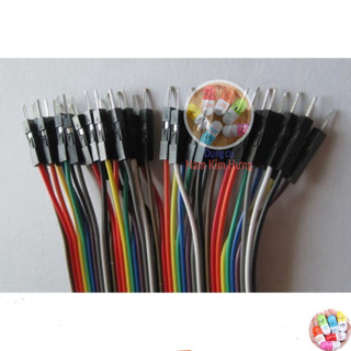 40 Dây Test Board Đực - Cái 20cm (có bán lẻ)