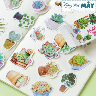 Sticker (hình dán) hộp 50 tấm hoa lá trang trí sổ, album, nhật ký, góc học tập, bullet journal