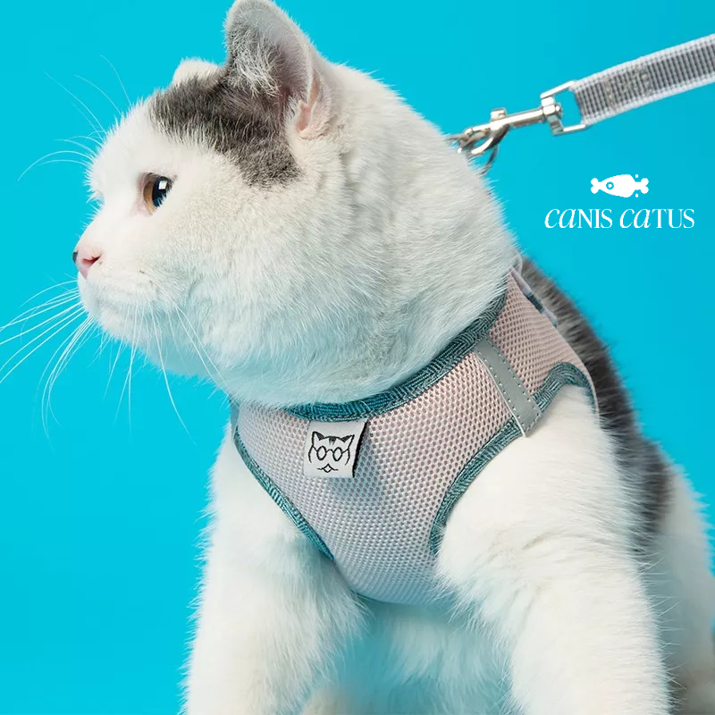 Túi xách Chó Mèo thời trang kèm dây bảo vệ và dây dẫn tích hợp bảo vệ anh toàn cho bé khi di chuyển, balo cho chó và mèo