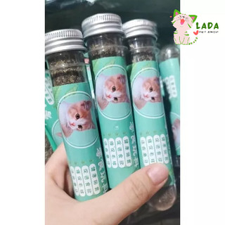 Cỏ mèo ống 45ml