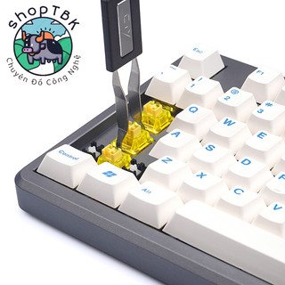 Cây nhổ switch và nhổ keycap (key puller and switch puller) 2 in 1