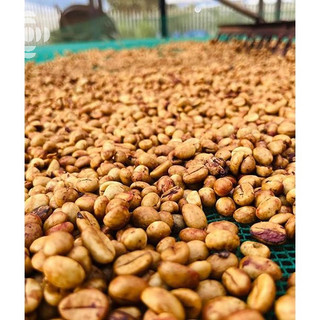 Cà Phê Lâm Hà Robusta RAAW Coffee