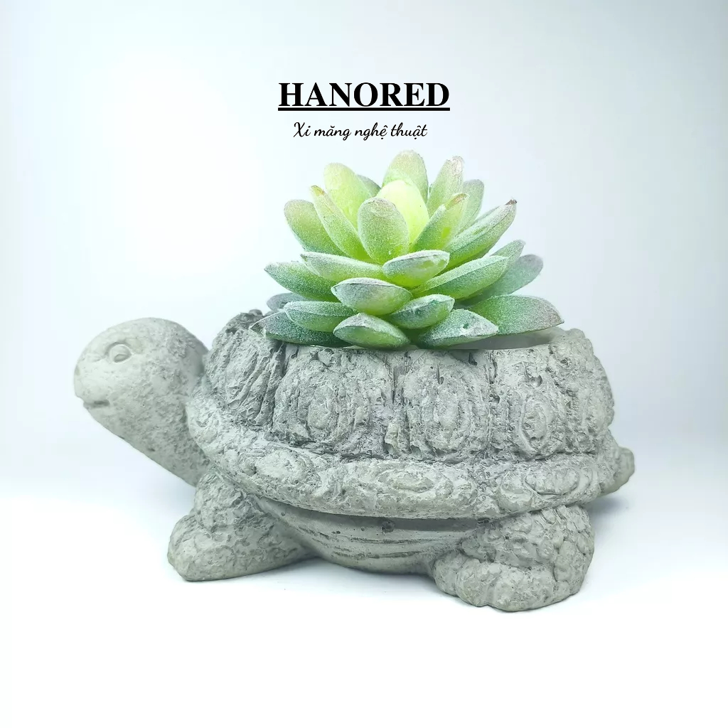 Chậu xi măng hình rùa cao cấp HANORED trồng sen đá, xương rồng, tô tượng kích thước 15*6.5*7 (cm)