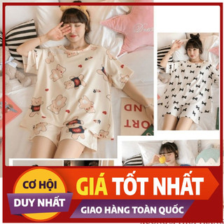 Đồ Bộ Nữ Mặc Nhà Đồ Bộ Thun Mặc Mùa Hè Tay Ngắn Đủ Size - Đồ Bộ Dễ Thương Nhiều Mẫu Nhiều Hình BTTL104