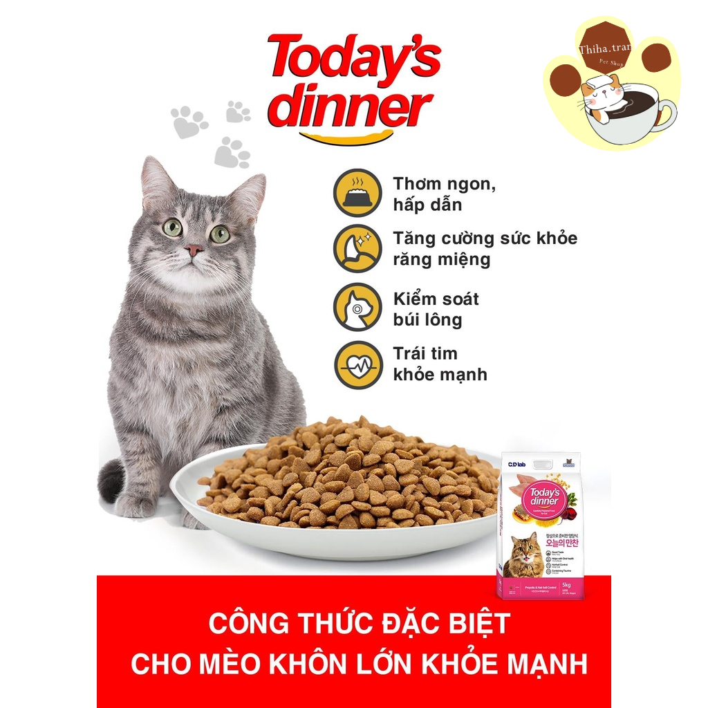 Hạt TODAY'S DINNER- DOGRANG- ANF 6 FREE cho chó mèo - Thức ăn khô cho chó mèo 40g