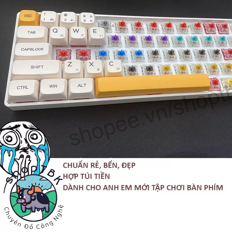 Kit phím cơ Tester 68 v2 (Tester68, tes68, ciy68) kết nối không dây 2 modes : bluetooth và 2,4ghz