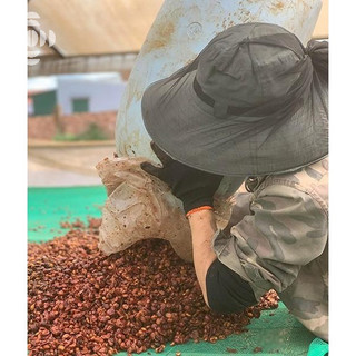 Cà Phê Lâm Hà Robusta RAAW Coffee