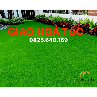 Thảm Cỏ nhân tạo giá rẻ 2.0cm Đế Không Bụi (HCM)