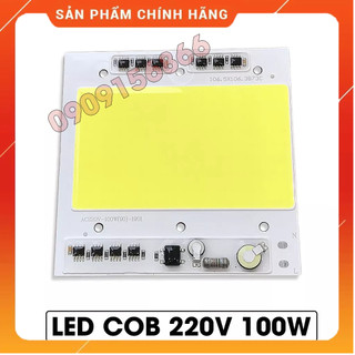 Hạt cob -100w-220v