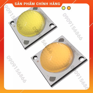 Mắt led cob 36v-50w lồi .