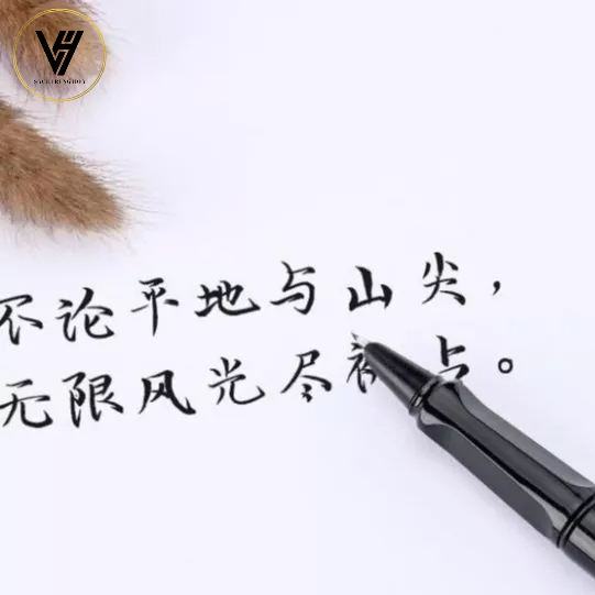 Bút máy viết chữ Hán,luyện viết Hán tự ngòi cong chuyên dụng