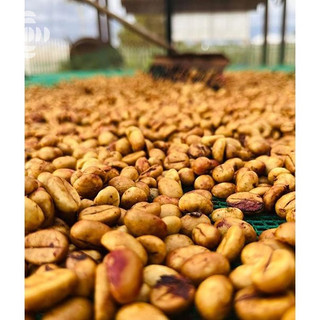 Cà Phê Lâm Hà Robusta RAAW Coffee