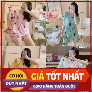 Đồ Bộ Nữ Mặc Nhà Dễ Thương Hình Trái Bơ Đủ Các Màu - Bộ Thun Nữ Mặc Nhà BTTL107