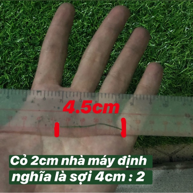 Thảm cỏ nhân tạo, trải sàn. Sợi Kim 2cm, Đế Cao Su 2 lớp.