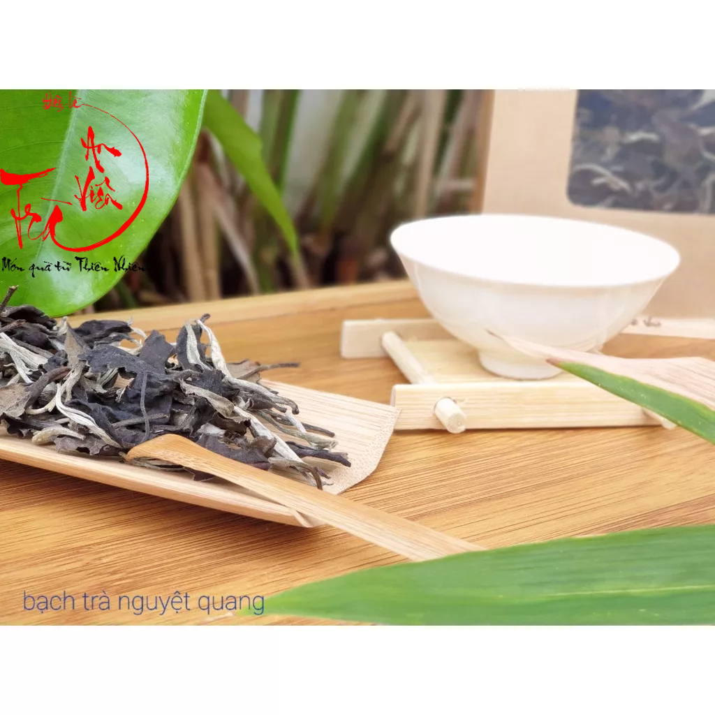 Bạch Trà Nguyệt Quang Bản Bẹ (1 búp 1 lá) - Sơn La