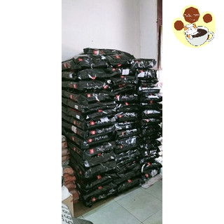 [HỎA TỐC] Hạt Catseye bao 13,5kg