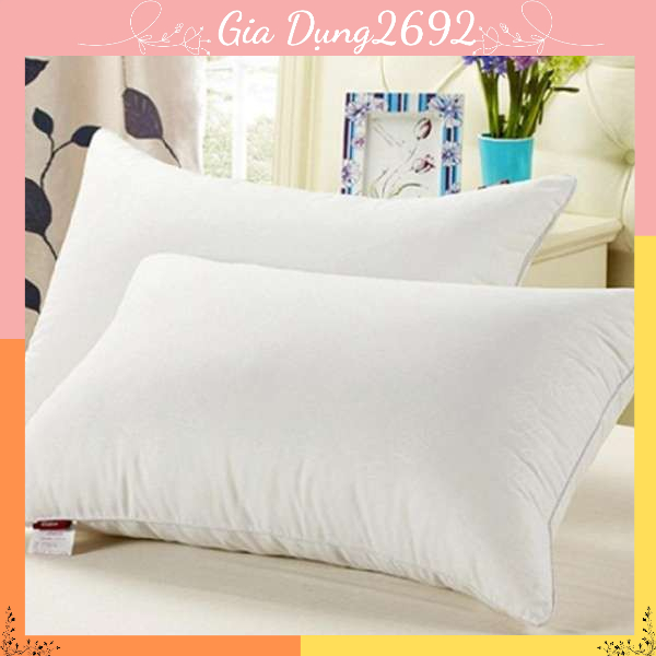 COMBO 10 RUỘT GỐI ĐẦU KÍCH THƯỚC 45cmx65cm