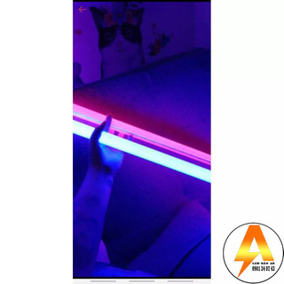 Combo 2 tuýp LED màu hồng tím và dương 1m2 nối dây điện 2m