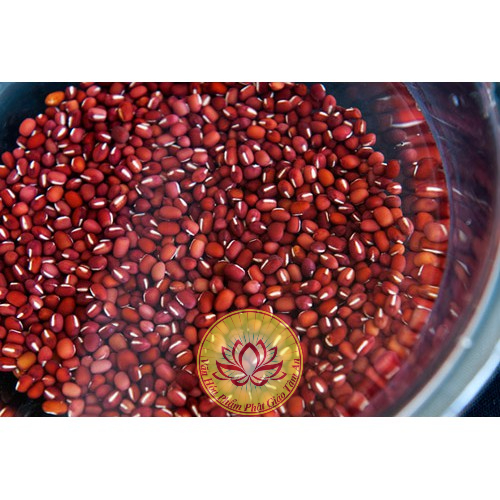 ĐẬU ĐỎ LOẠI NHỎ - 1KG - THÁI BÌNH